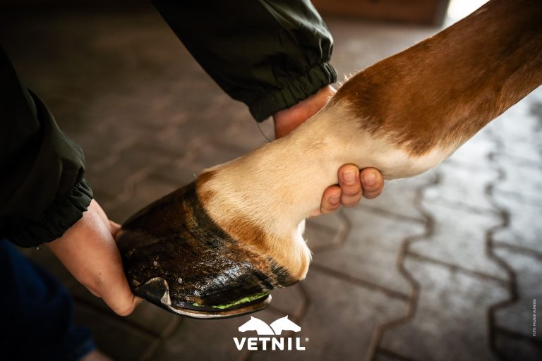 Vetnil®